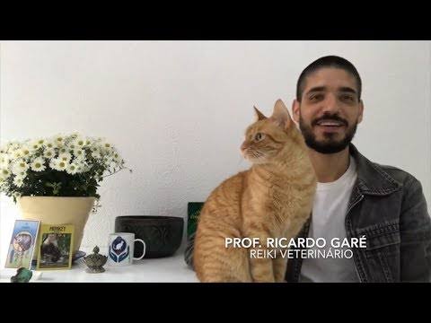 Professor Ricardo Garé - Reiki em animais já é praticado em consultórios veterinários